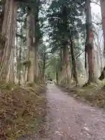戸隠神社奥社の周辺