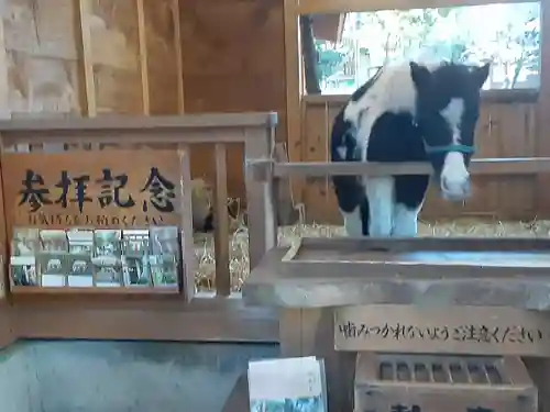 平塚八幡宮(神奈川県)