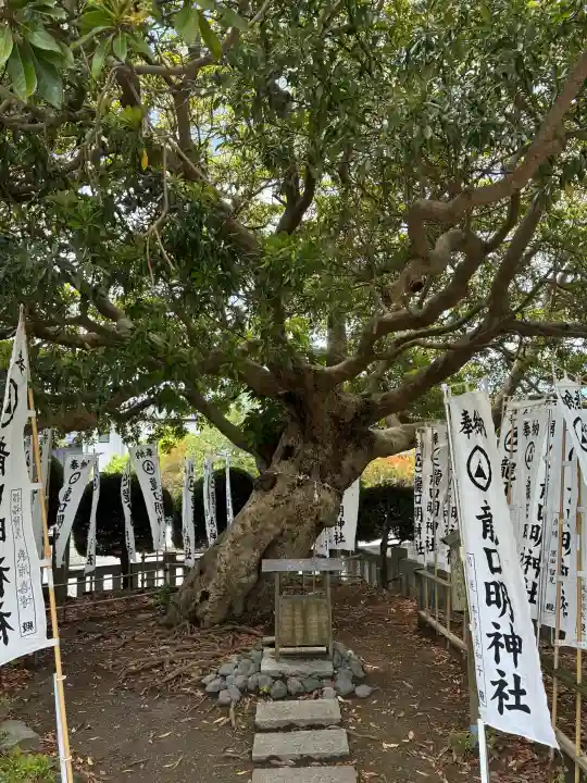 龍口明神社の{uncategorized: "未分類", other: "その他", undefined: "問題あり", building: "その他建物", grave: "お墓", sacred_gate: "鳥居", guardian: "狛犬", statue: "像", buddha: "仏像", history: "歴史", nature: "自然", garden: "庭園", animal: "動物", pagoda: "塔", temizu: "手水舎", mountain_gate: "山門・神門", sanctuary: "本殿・本堂", subordinate: "末社・摂社", art: "芸術", scenery: "景色", jizo: "地蔵", ema: "絵馬", goshuin: "御朱印", omikuji: "おみくじ", items: "授与品その他", amulet: "お守り", goshuincho: "御朱印帳", eats: "食事", festival: "お祭り", votive_dance: "神楽", shichigosan: "七五三参", wedding: "結婚式", experience: "体験その他", initially: "初詣", around: "周辺", anti_infection: "感染症対策"}