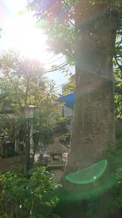 皆中稲荷神社の自然