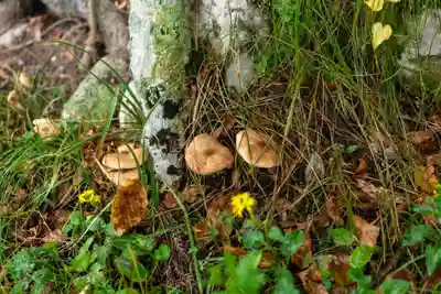 諏訪大社上社前宮(長野県)