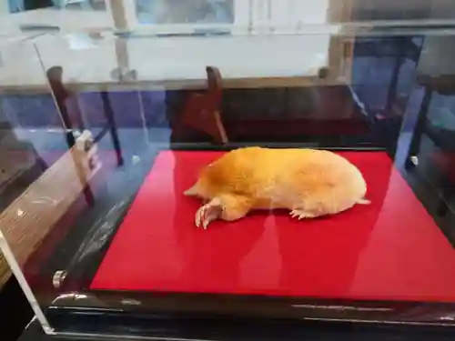 下野 星宮神社(栃木県)