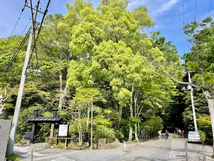 須磨稲荷大明神・和佐稲荷大明神(神奈川県)