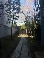 櫻田神社の建物その他