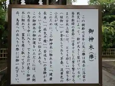 新田神社(東京都)