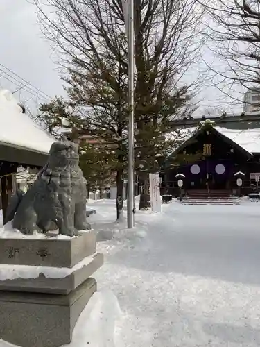 北海道神宮頓宮の狛犬