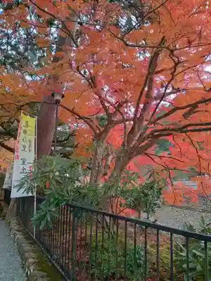 室生寺(奈良県)