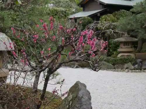 本蓮寺の庭園