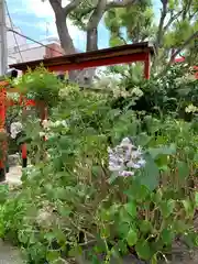 尼崎えびす神社の自然