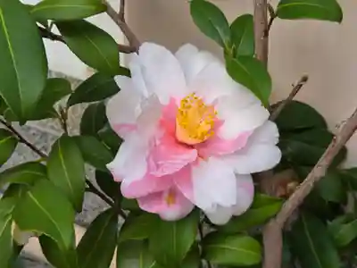 小野八幡神社(兵庫県)