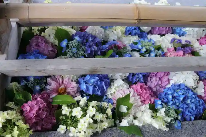 豊景神社の手水舎