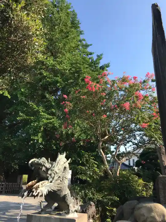 長念寺の自然
