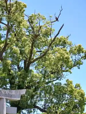 妙見神社の動物