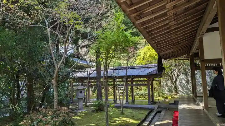 龍安寺(京都府)