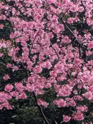 新井天神北野神社(東京都)
