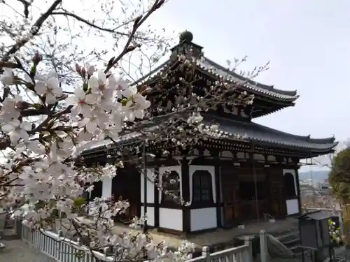 くろ谷 金戒光明寺(京都府)